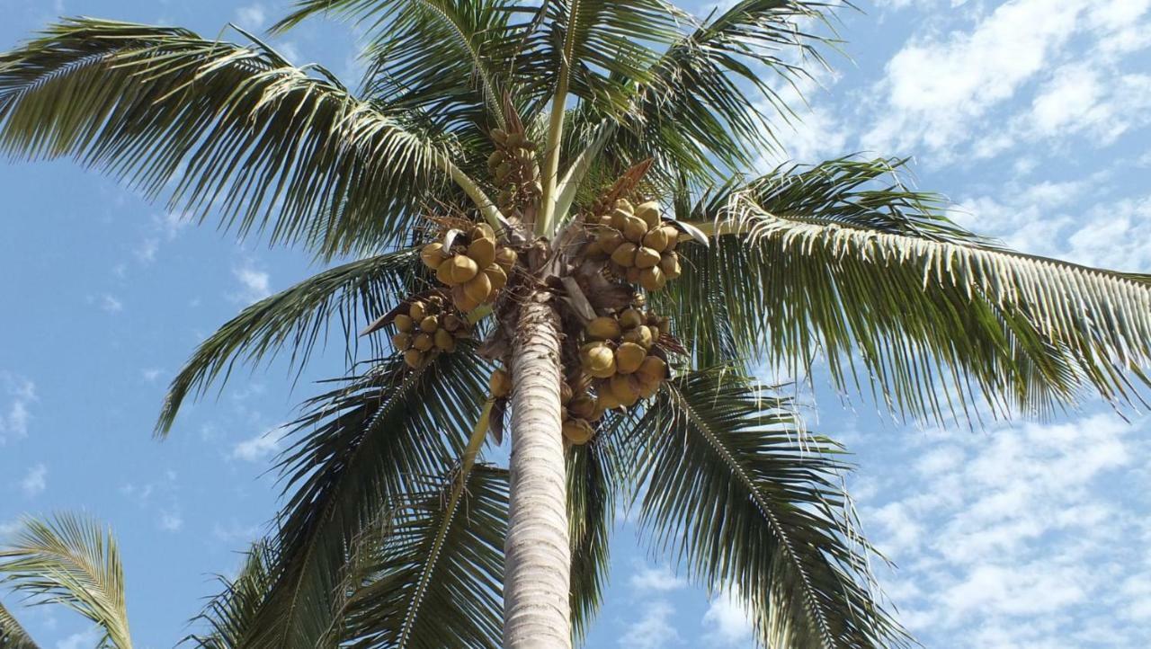 Kunta Kinteh Beach Complex Коту Экстерьер фото
